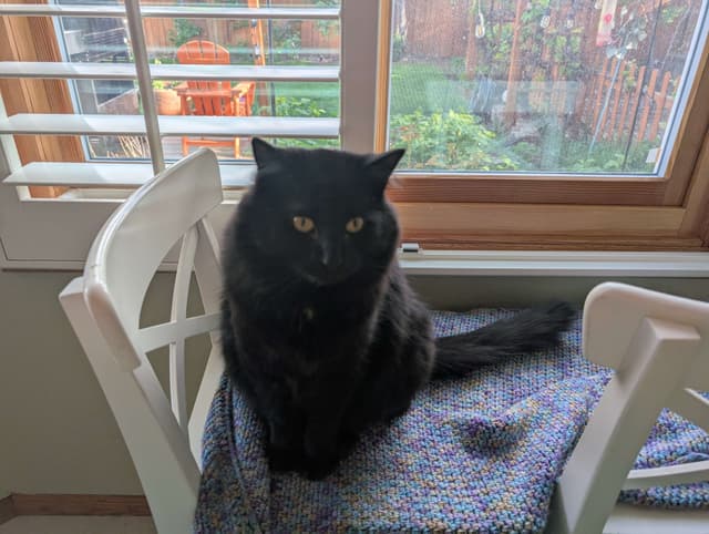 User uploaded image thumbnail