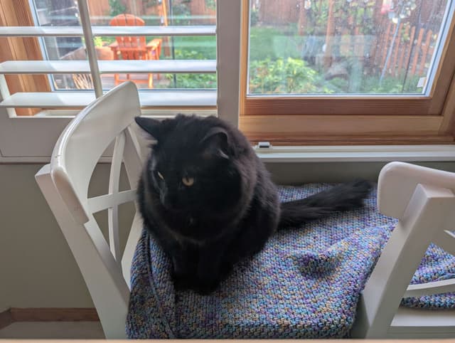 User uploaded image thumbnail