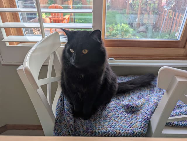 User uploaded image thumbnail